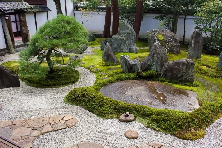 Jardin du style Japandi