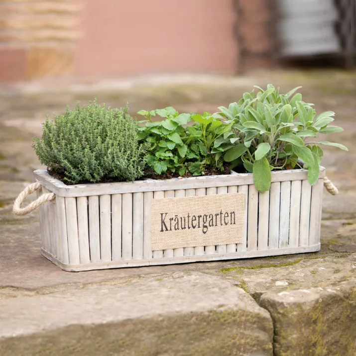 Cache-pots avec des herbes aromatiques