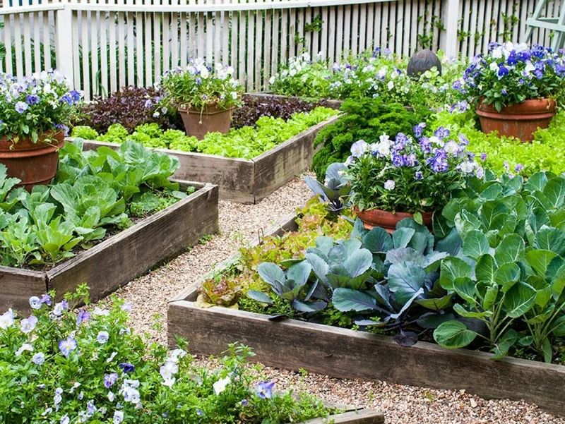 Exemple d'un potager bien entretenu