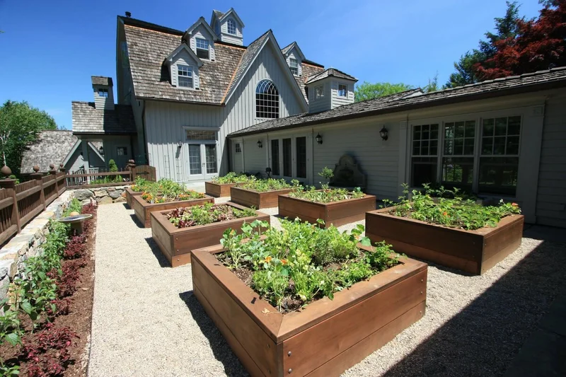 Un potager avec des plates-bandes carrées en bois