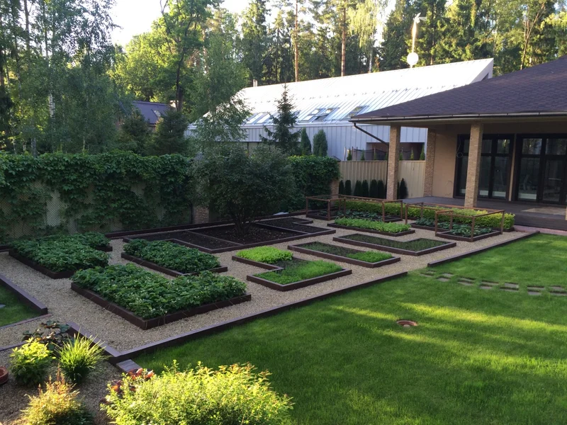 Un potager avec une haie