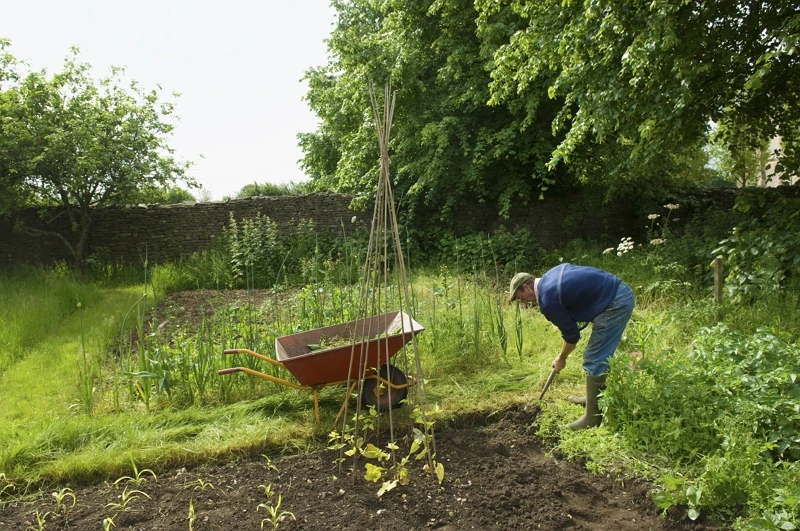 Un homme en train de travailler la terre dans son jardin potager