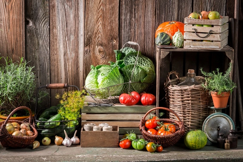 Une récolte de légumes variés provenant d'un potager